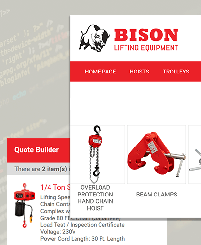 Bison Lifting Case Study